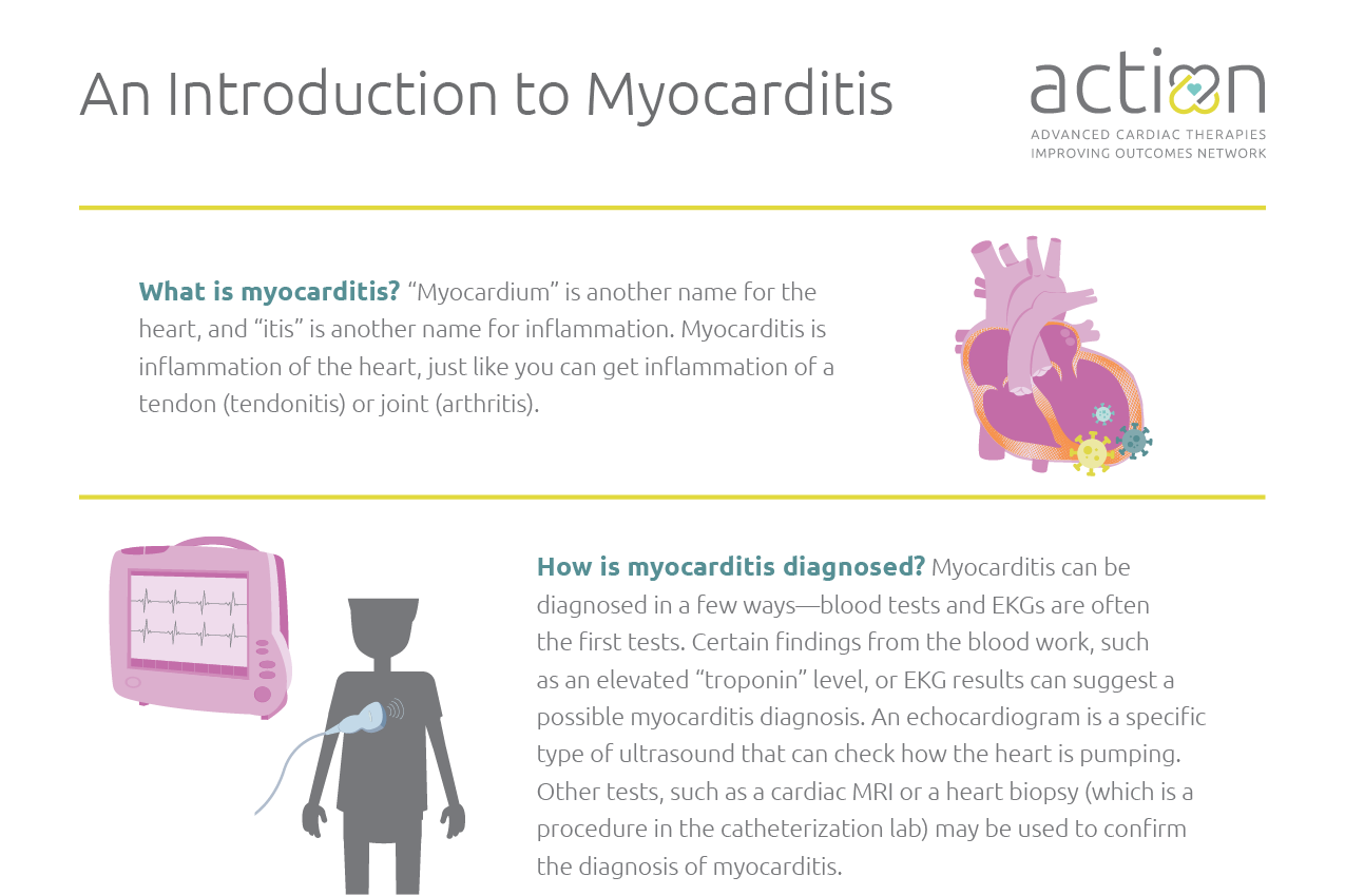 Introduction to Myocarditis