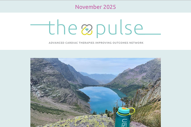 The Pulse eNewsletter November 2025
